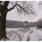 Winterlandschaft