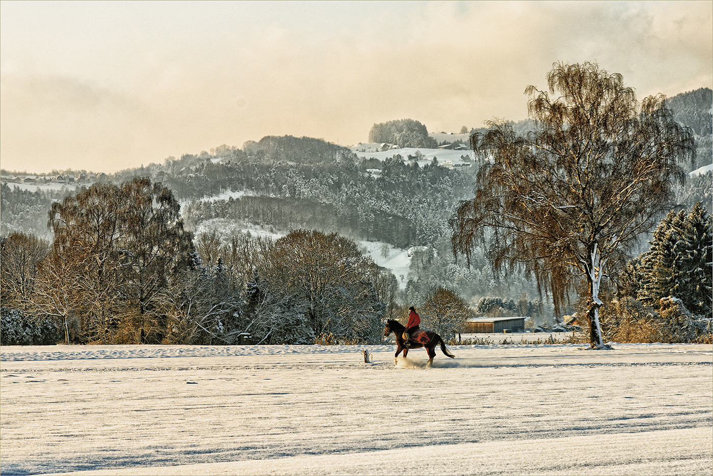 Winterlandschaft