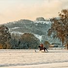 Winterlandschaft