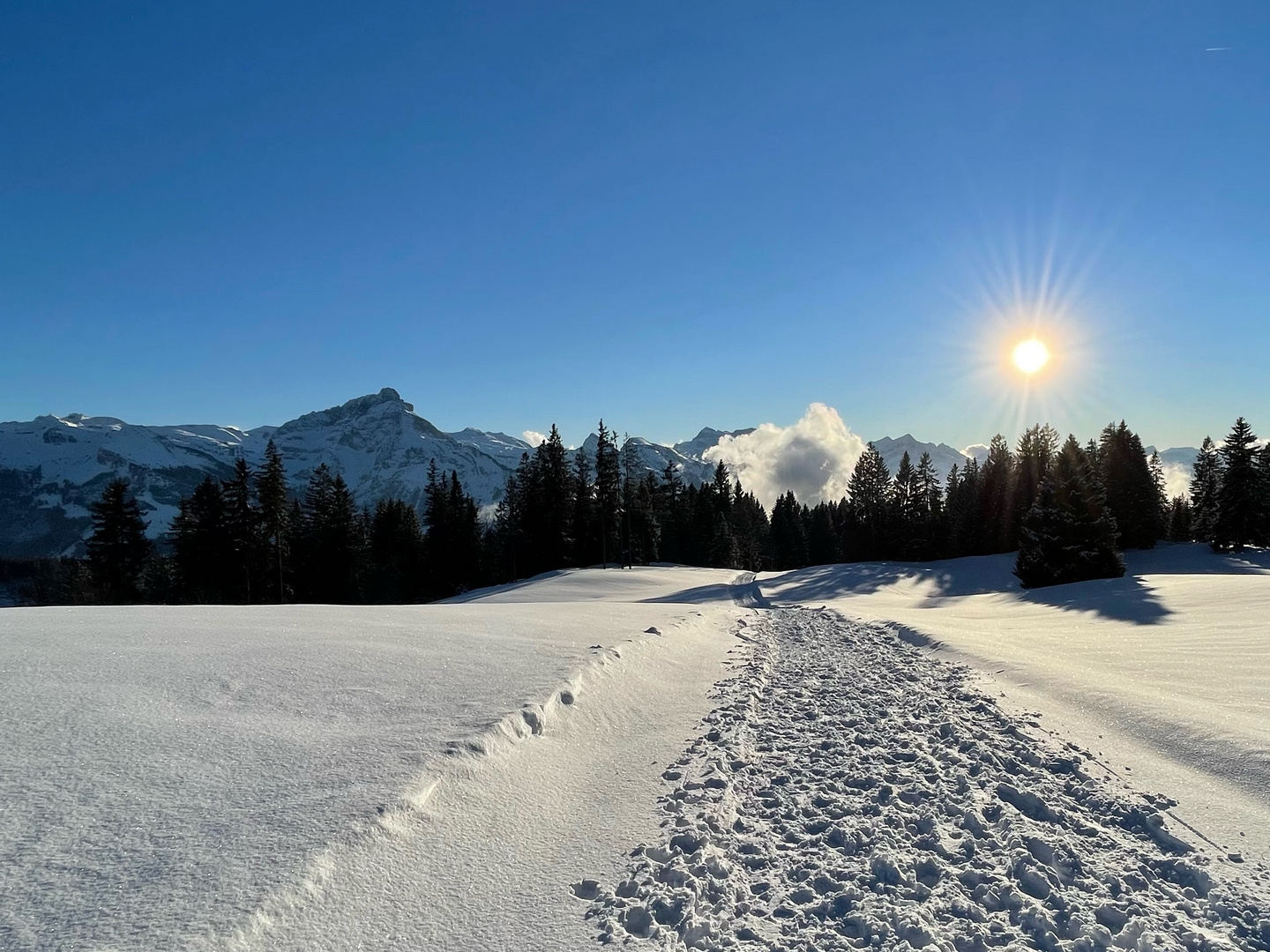 Winterlandschaft