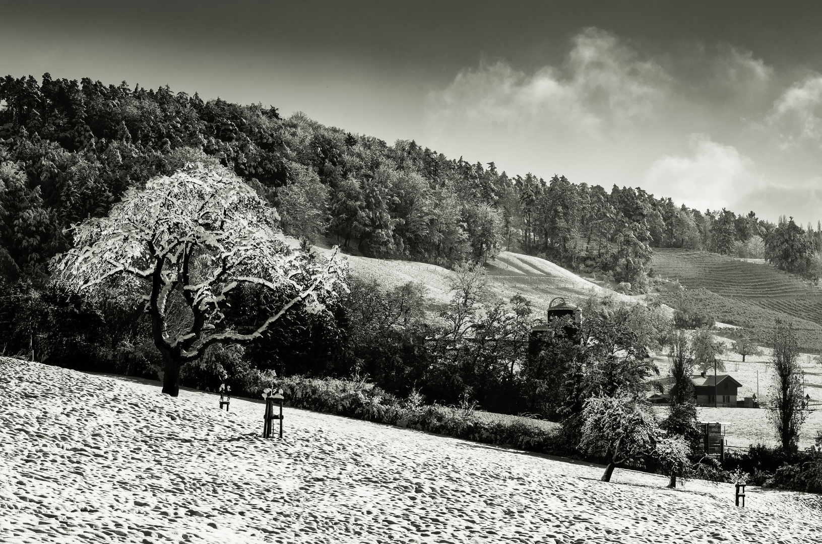 Winterlandschaft