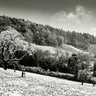 Winterlandschaft