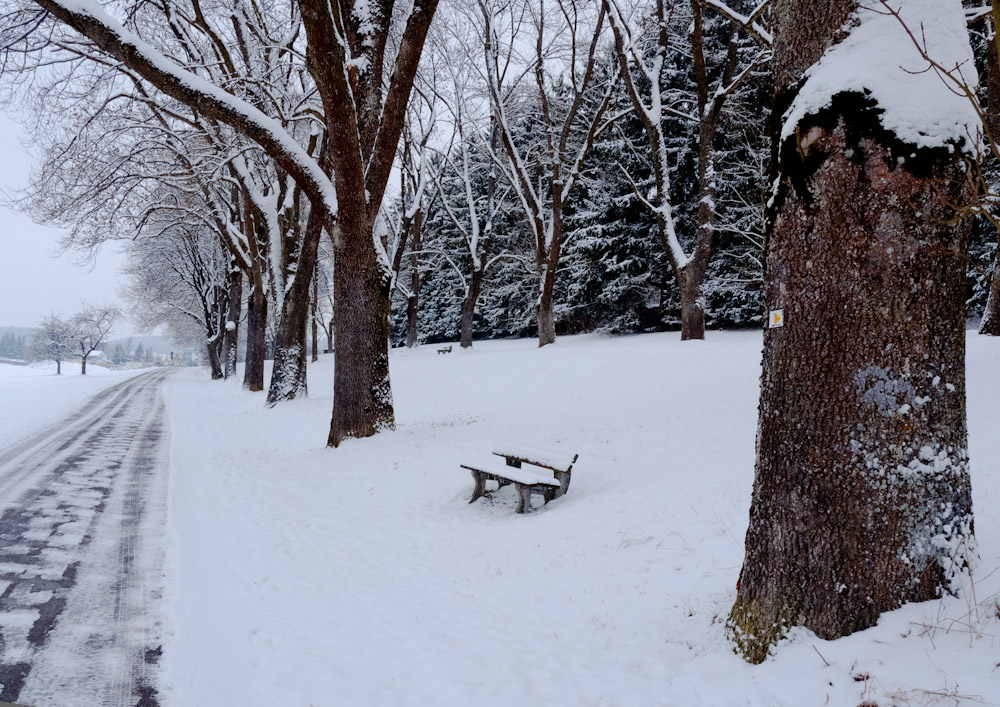 Winterlandschaft