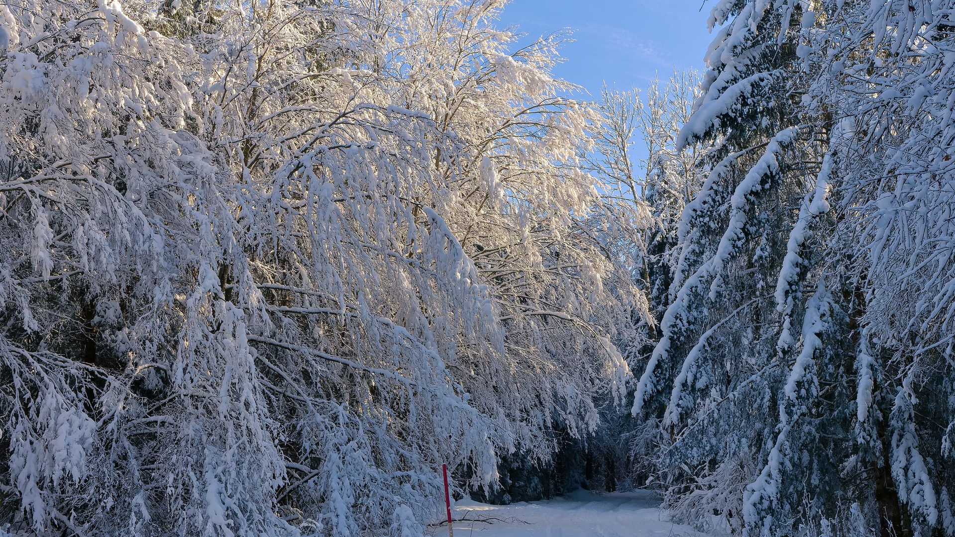 Winterlandschaft