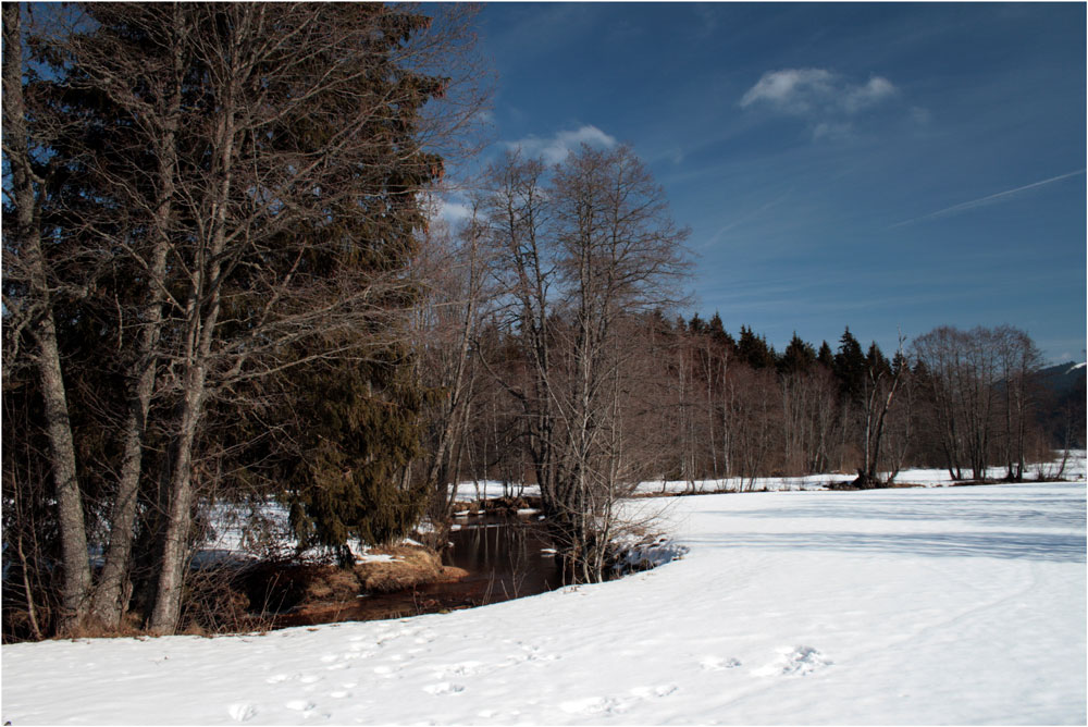 Winterlandschaft