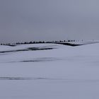 Winterlandschaft