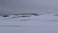 Winterlandschaft