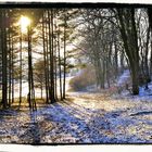 Winterlandschaft