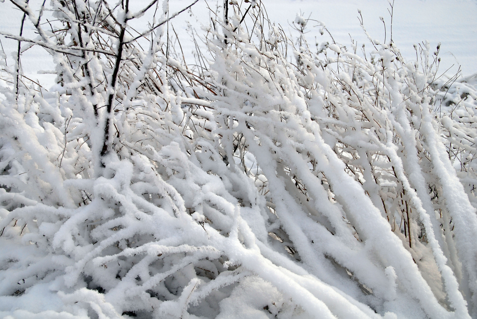 Winterlandschaft