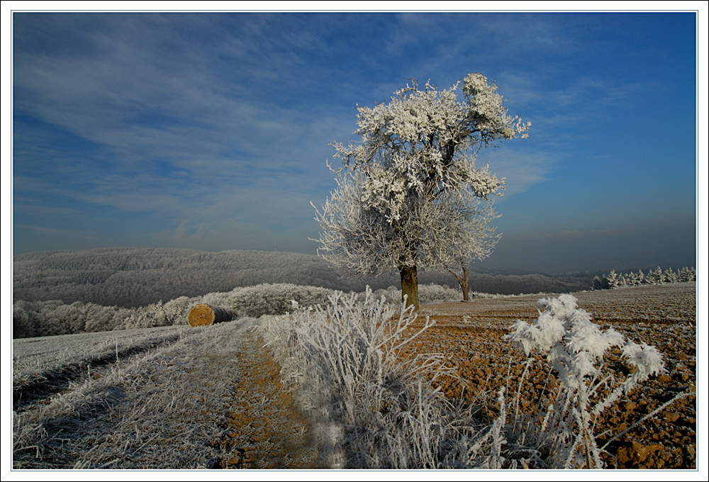 winterlandschaft