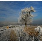 winterlandschaft