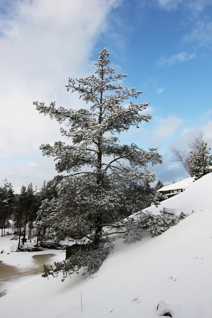 Winterlandschaft