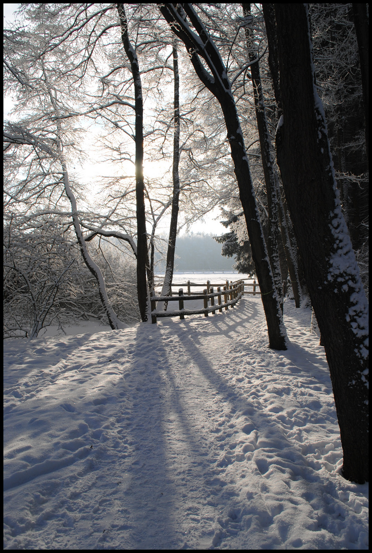 Winterlandschaft