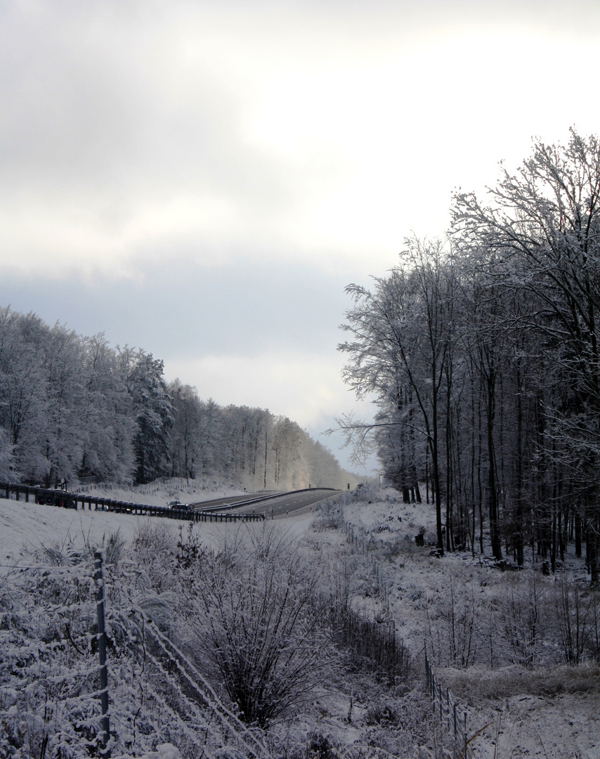 Winterlandschaft