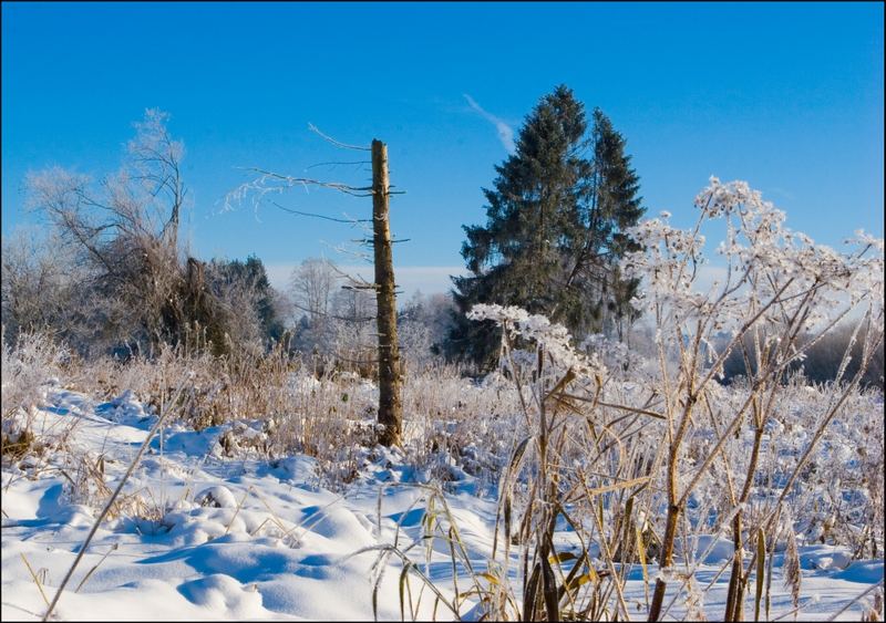 Winterlandschaft