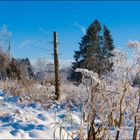 Winterlandschaft