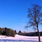 Winterlandschaft