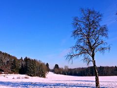 Winterlandschaft