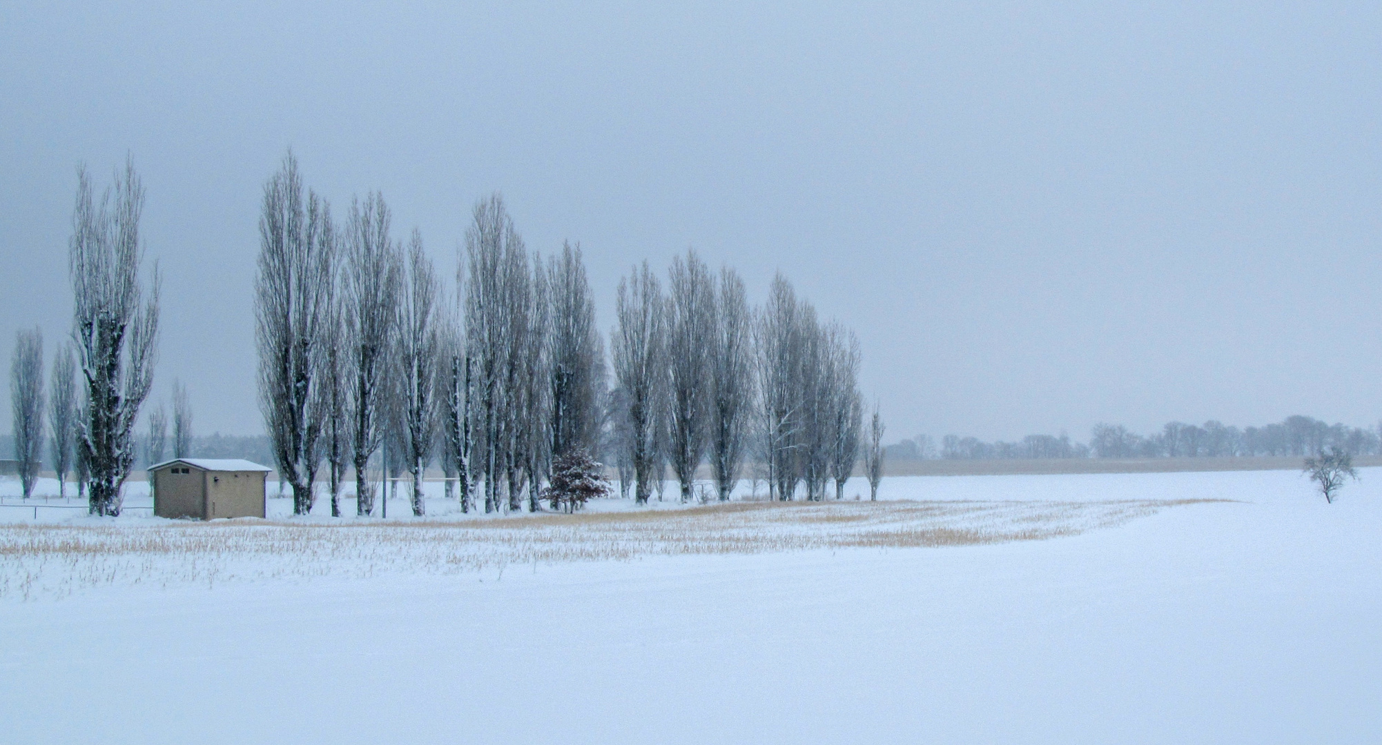 Winterlandschaft