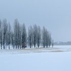 Winterlandschaft