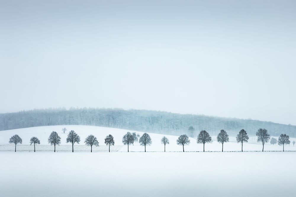 Winterlandschaft