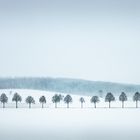 Winterlandschaft