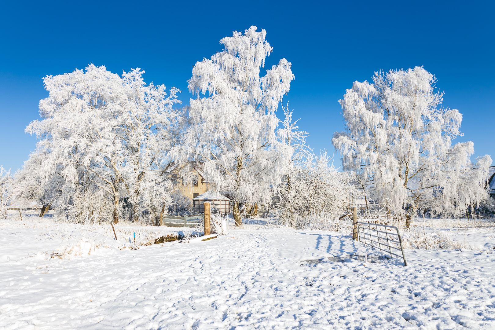 Winterlandschaft