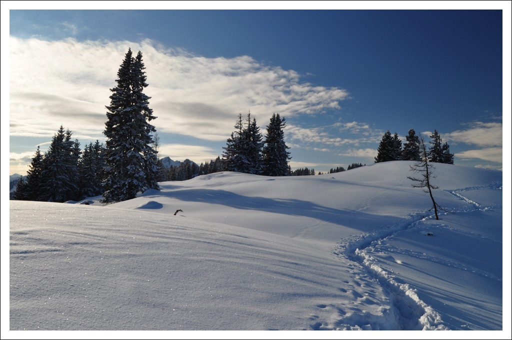 Winterlandschaft