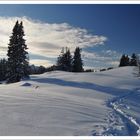 Winterlandschaft