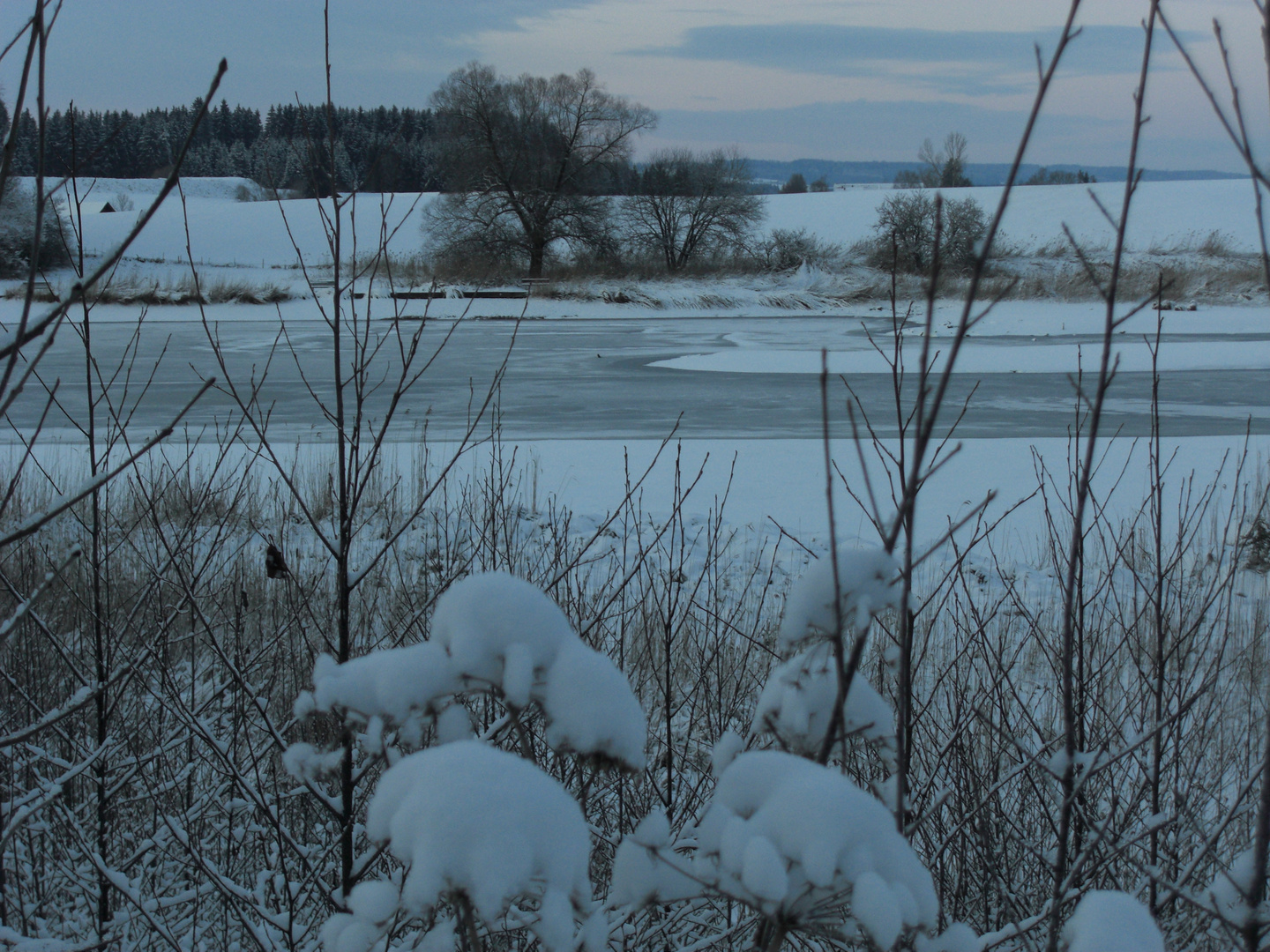 Winterlandschaft