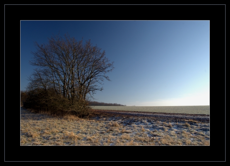 Winterlandschaft