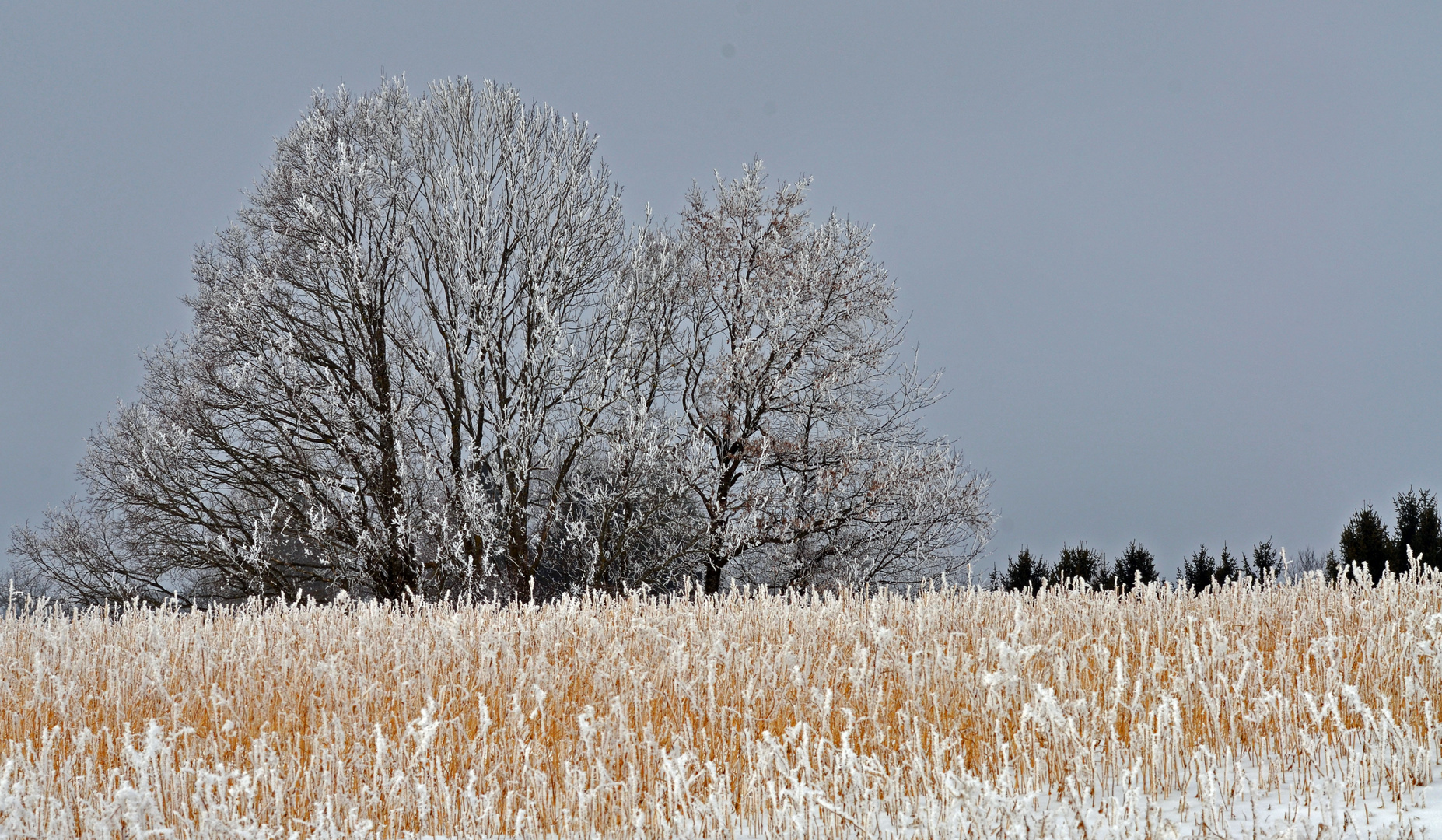 Winterlandschaft