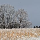 Winterlandschaft