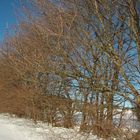 Winterlandschaft