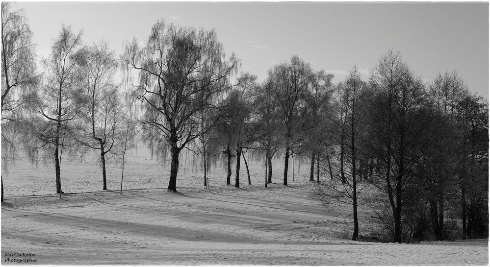 Winterlandschaft von Martin Kolbe 