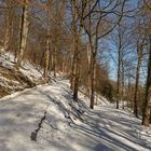 Winterlandschaft