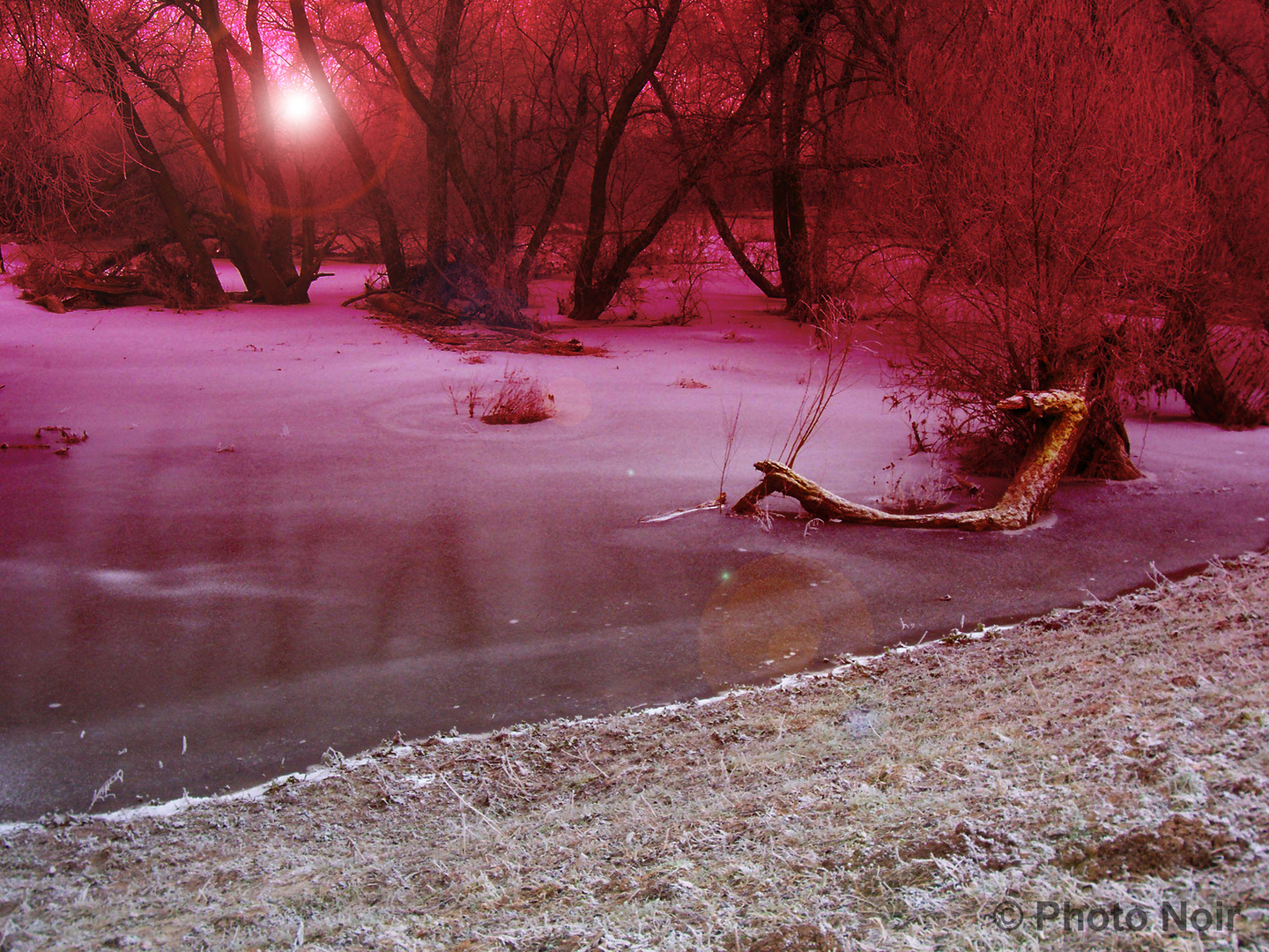 Winterlandschaft