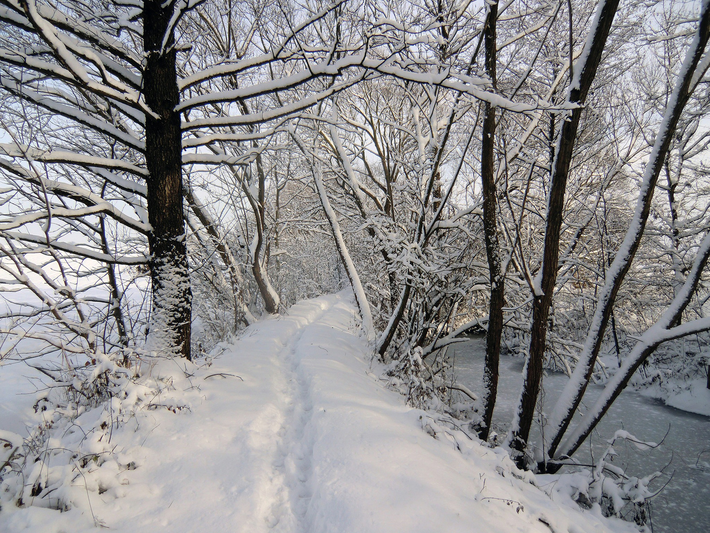 Winterlandschaft