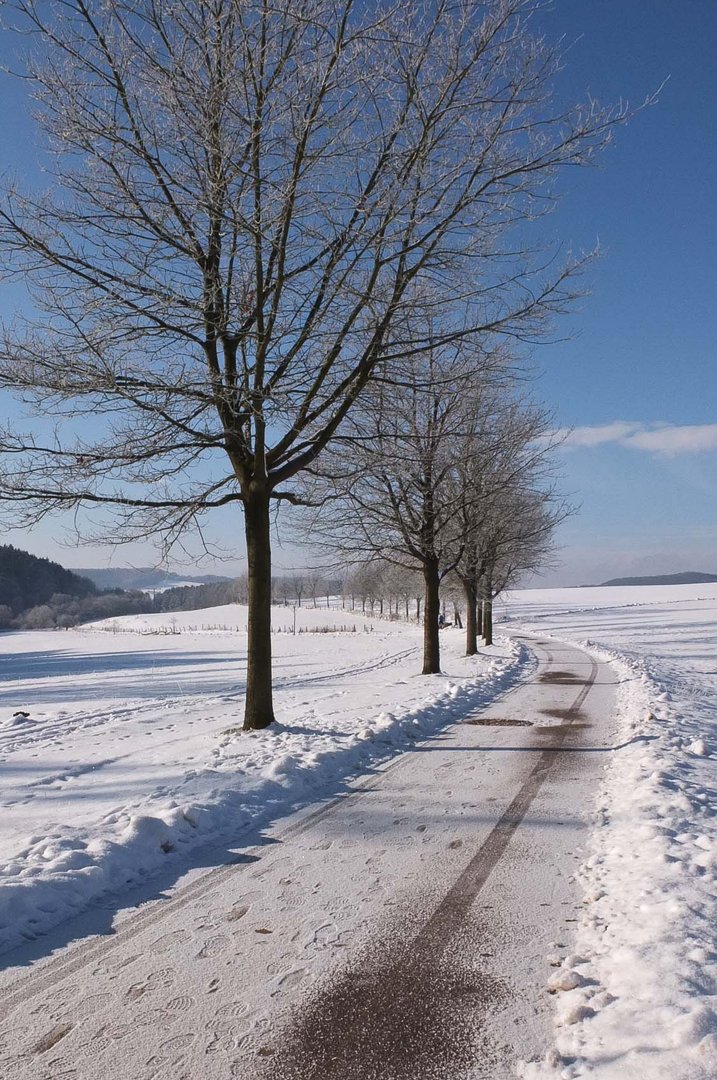 Winterlandschaft-Eifel 002