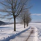 Winterlandschaft-Eifel 002