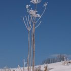 Winterlandschaft-Eifel 004