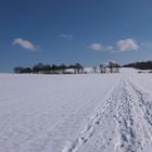 Winterlandschaft-Eifel-005