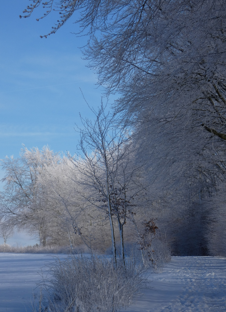 Winterlandschaft "Eifel"