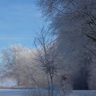 Winterlandschaft "Eifel"