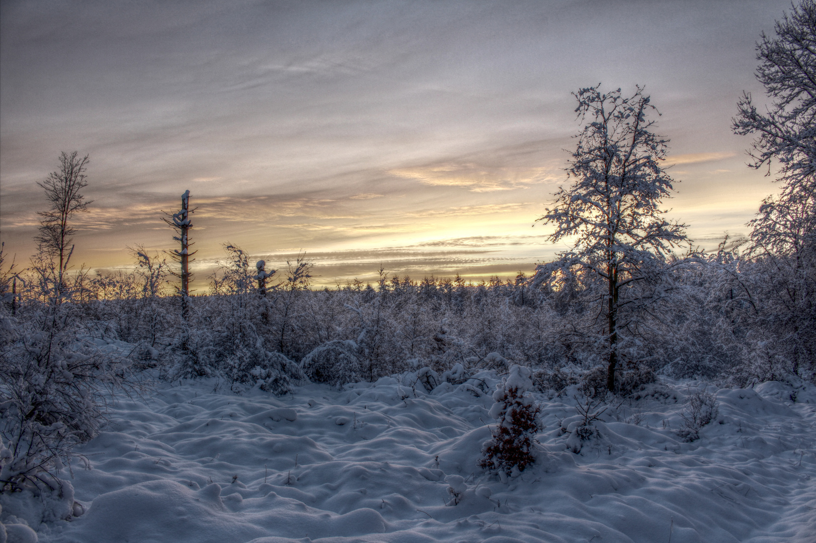 Winterlandschaft Eifel