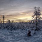 Winterlandschaft Eifel