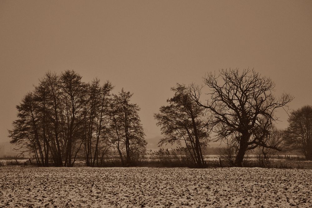 Winterlandschaft einmal anders