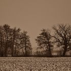 Winterlandschaft einmal anders