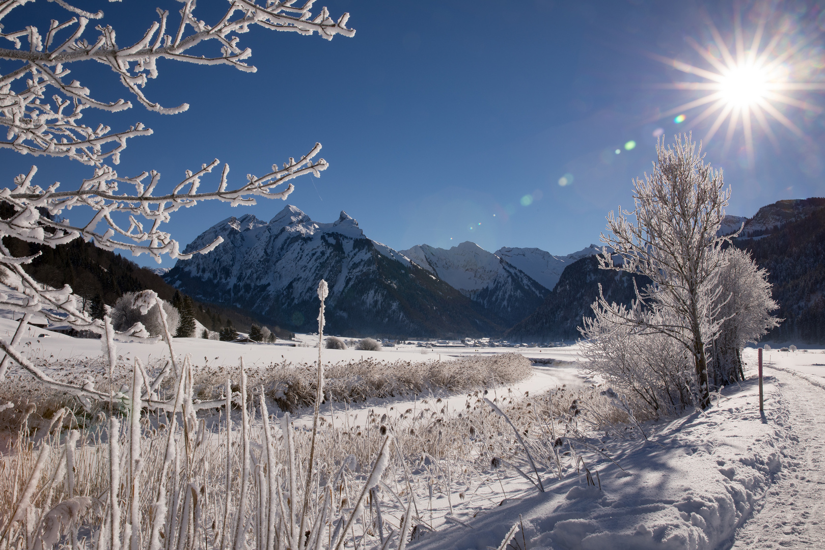 Winterlandschaft Einsiedeln / Studen