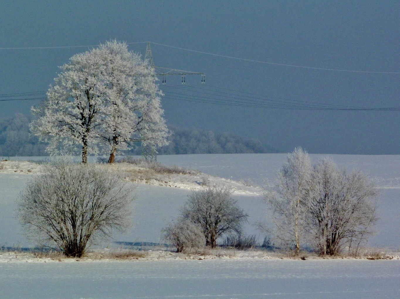 Winterlandschaft Eiskalt